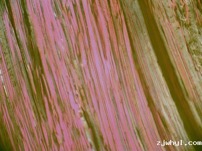 4-硝基邻苯二甲腈