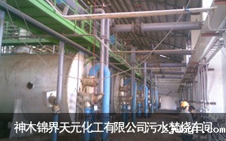 ac米兰官方app下载绿色版